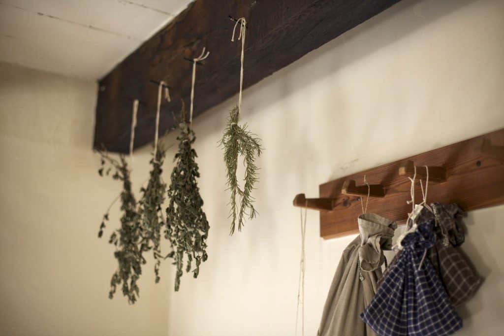herbs drying by hanging