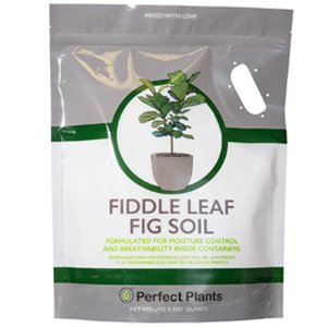 Fiddle Leaf Fig Soil by Perfect Plants