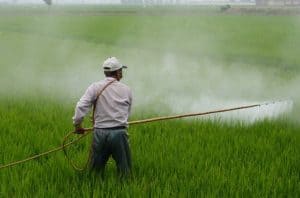 Man spraying pesticides on plants