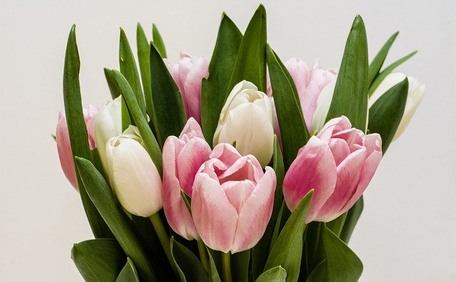 Colourful bouquet of flowers