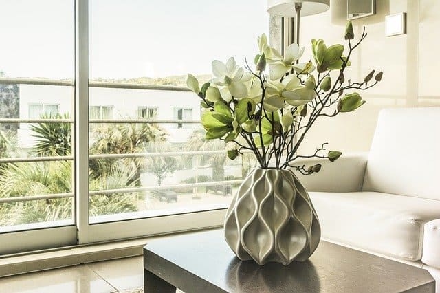 Potted plant on a table next to a sofa and a window