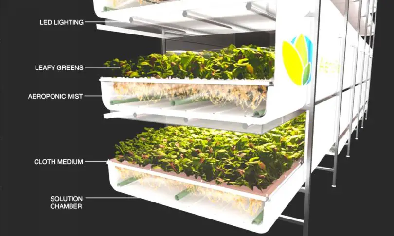 Vertical farming for beginners