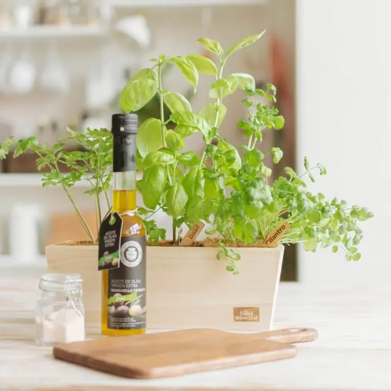 10 Best Indoor Herb Garden Kits for 2020 - Indoor Home Garden