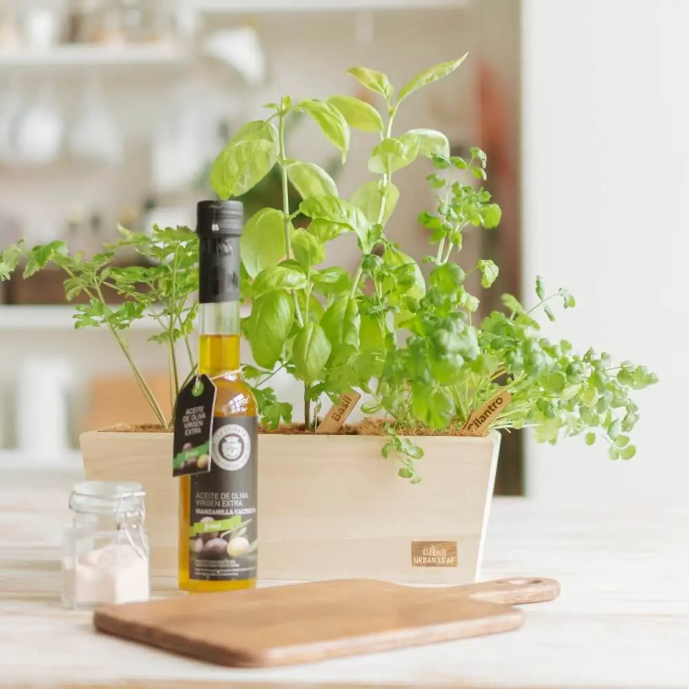 urban leaf windowsill herb garden