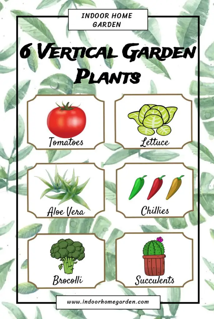 6 vertical garden plants