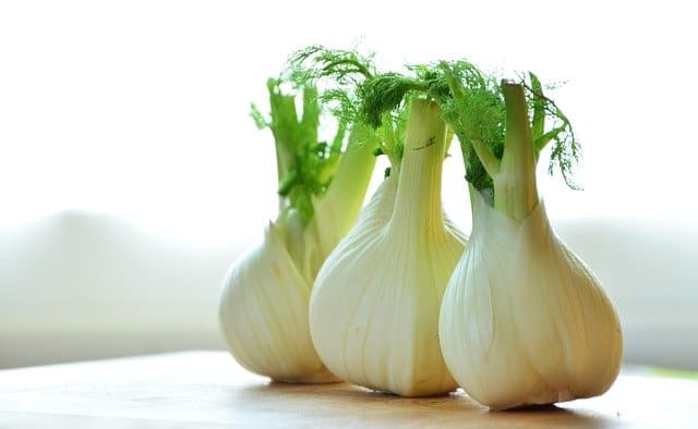 fennel on a counter