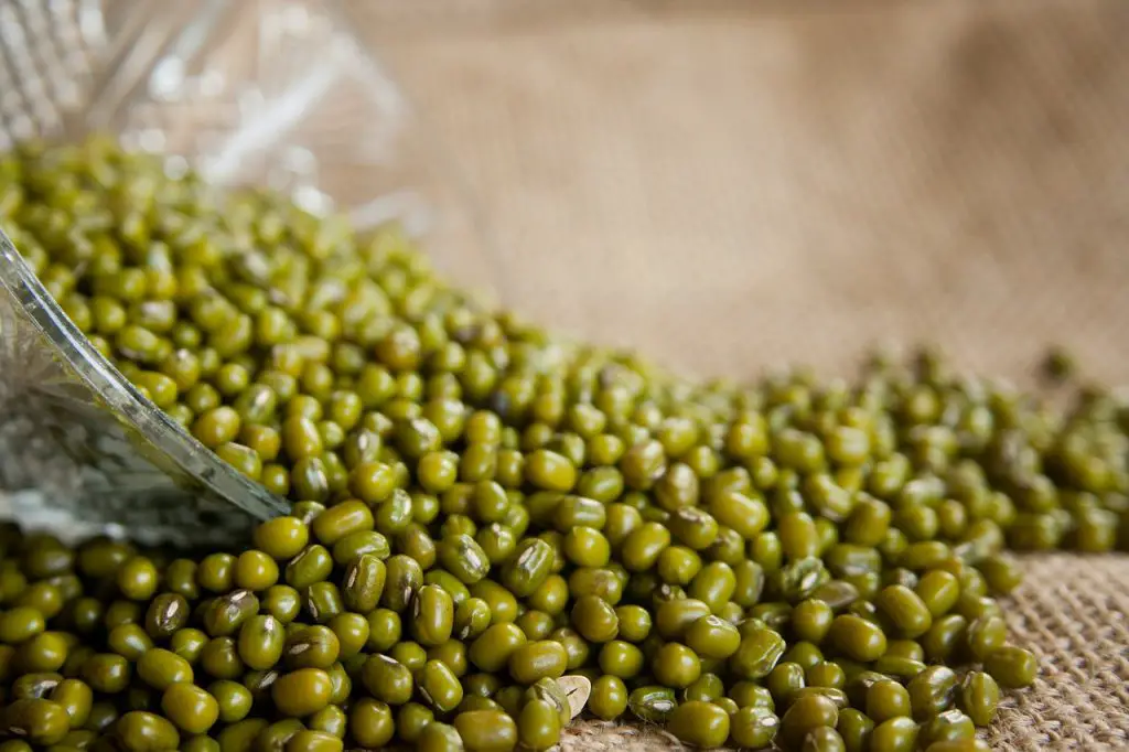 Mung beans (soya beans)