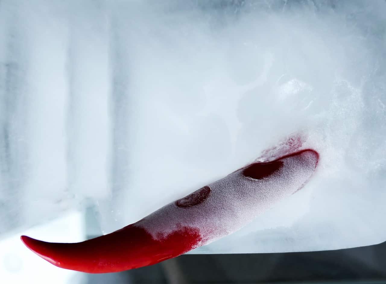 Can You Freeze Fresh Herbs? Indoor Home Garden