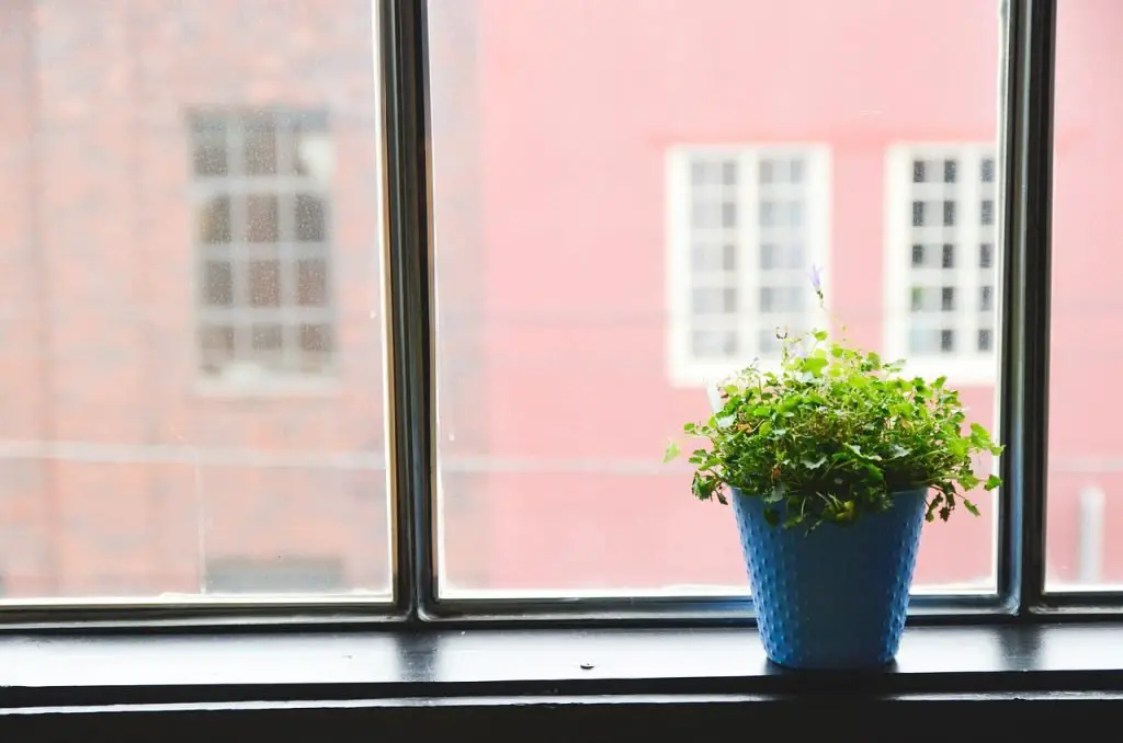 Window Sill Herb Garden