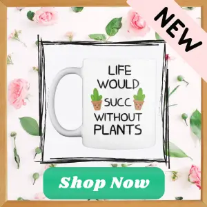 new collection of mugs and clothing by indoor home garden