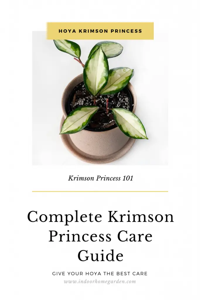 Krimson princess care guide image for pinterest