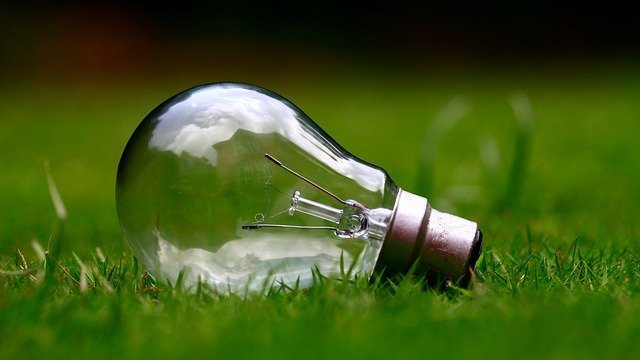 Can A Regular Light Bulb Help Plants Grow?