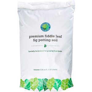 Premium Fiddle Leaf Fig Tree Potting Soil