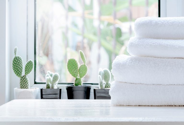 Plants in the Bathroom Cactus Bathroom Décor Ideas & Tips