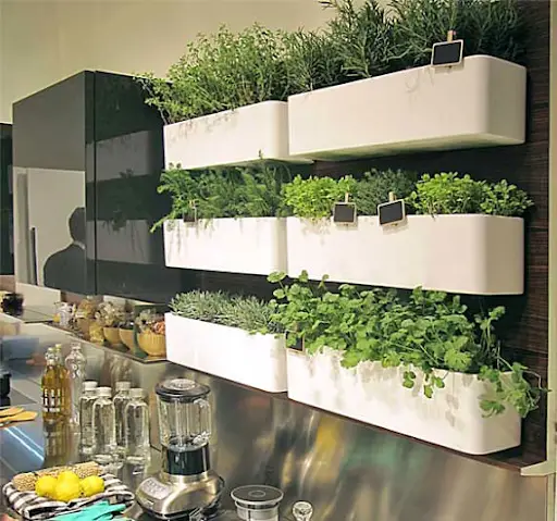 8 Creative Ways To Plant A Vertical Herb Garden Have Fresh Herbs On Hand Indoor Home - Diy Herb Planter Box Indoor