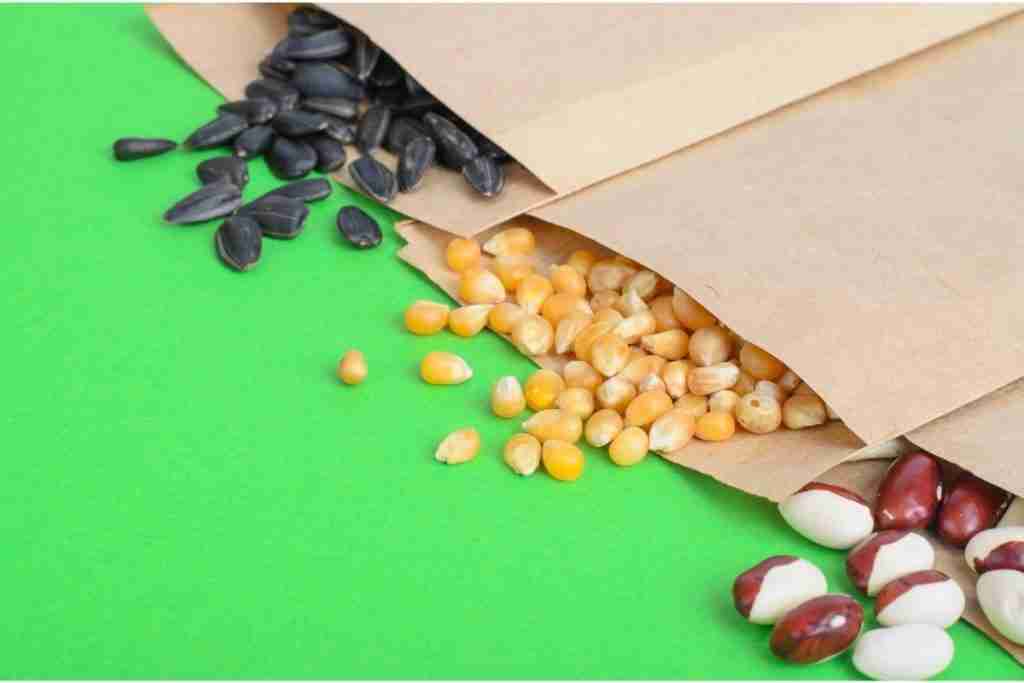 Vegetable seeds spilling out of paper bags