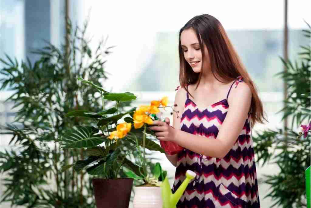 Woman caring for indoor plants