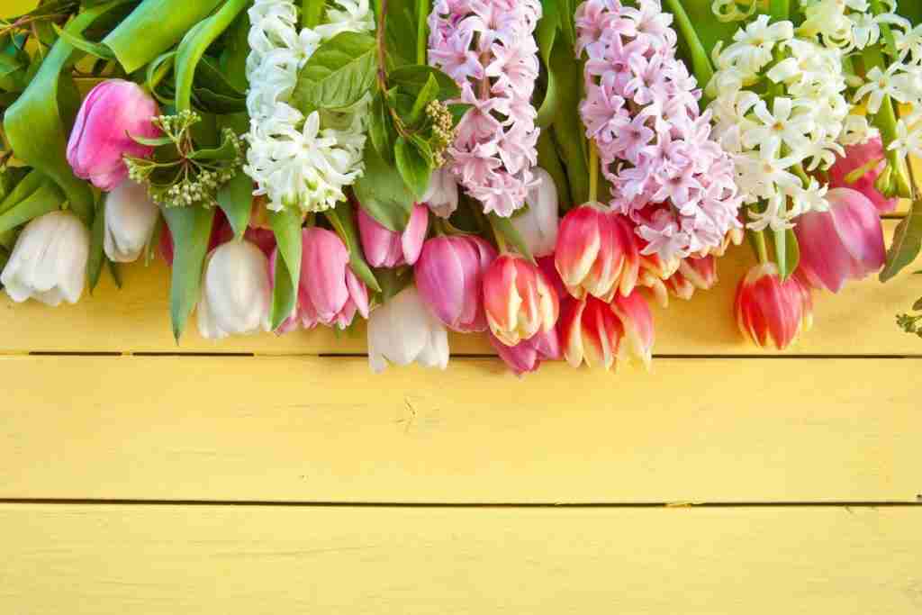 Fresh-Flowers-on-Wooden-Background