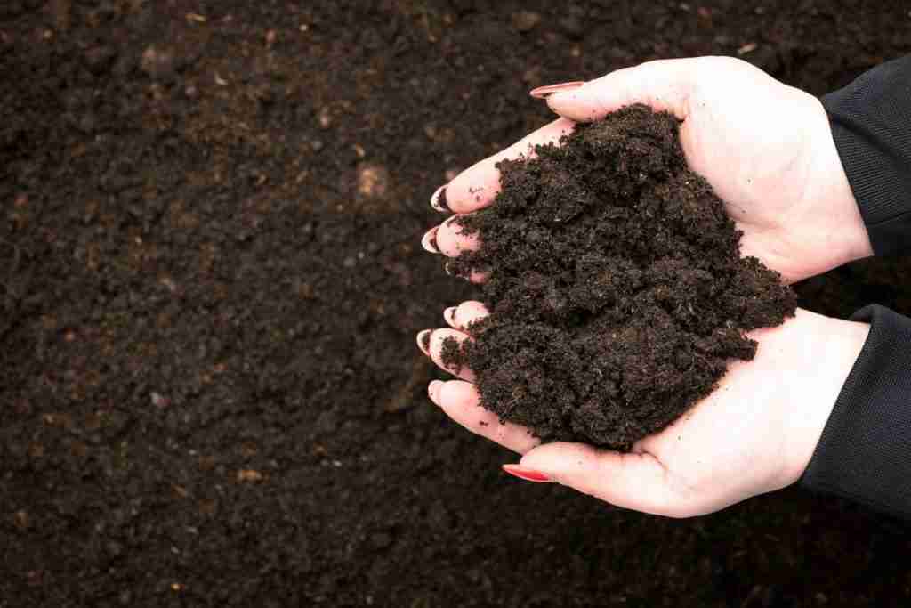 Hands-holding-soil
