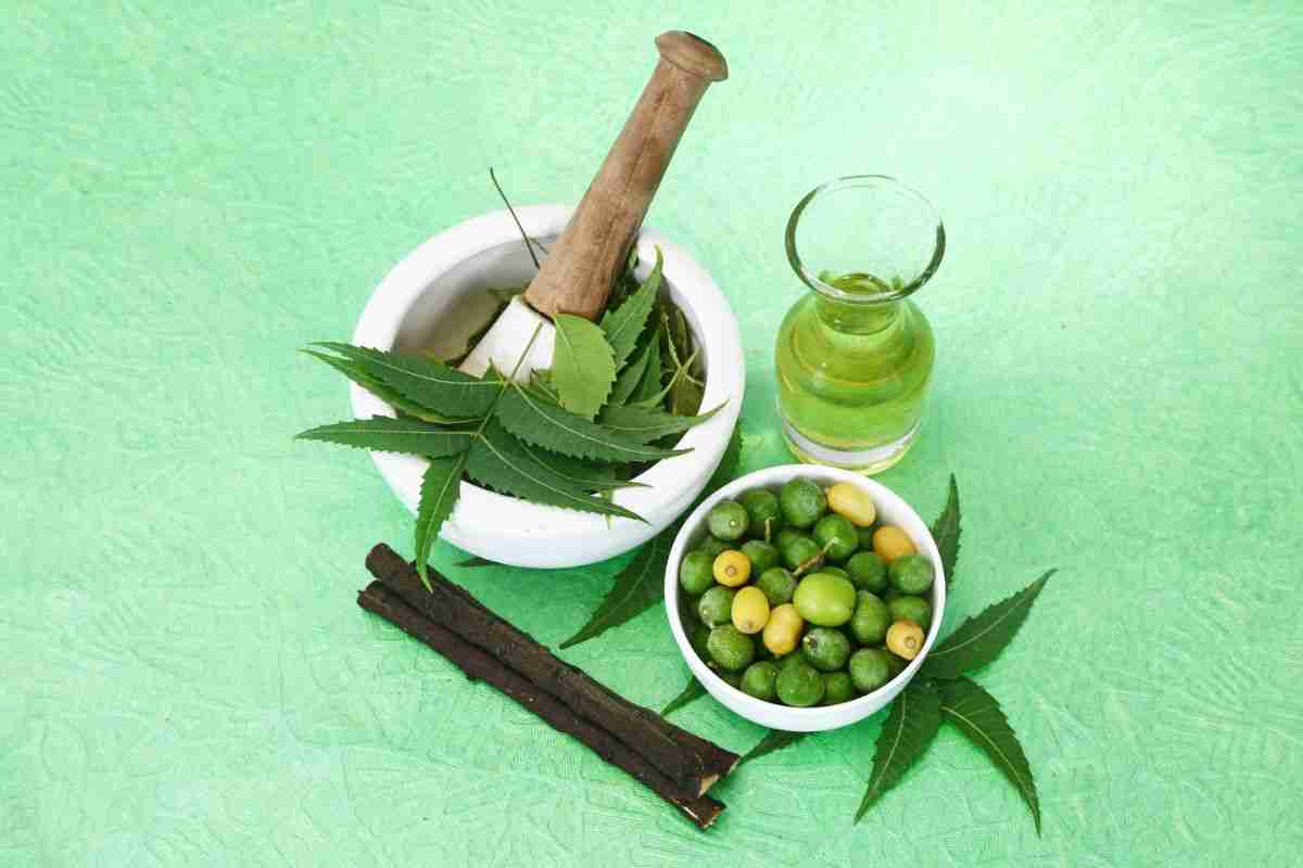 How To Use Neem Oil On Indoor Plants - Follow These 7 Steps