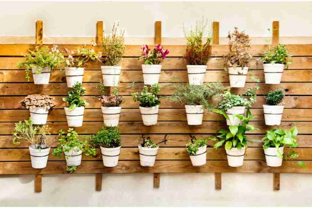 wall mounted indoor herb garden