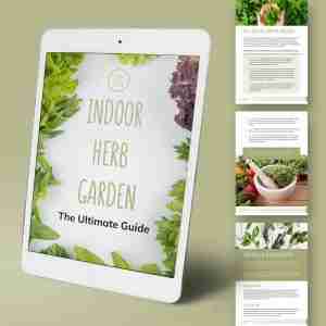 indoor herb garden ebook