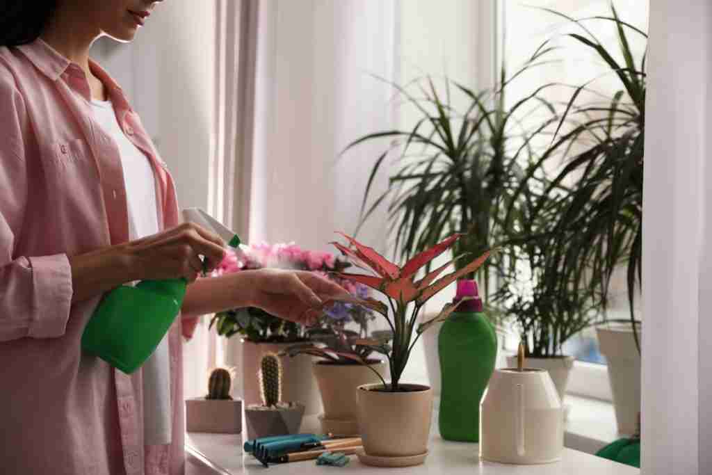 Woman-Spraying-Beautiful-House-Plant