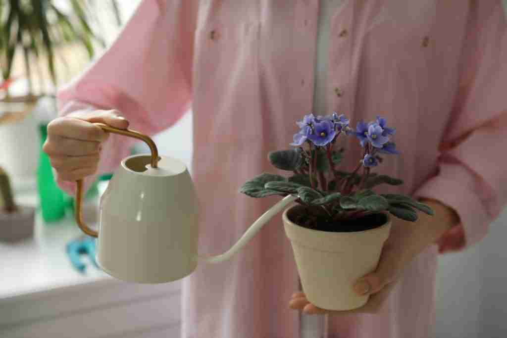 Woman-watering-beautiful-house-plant-indoors