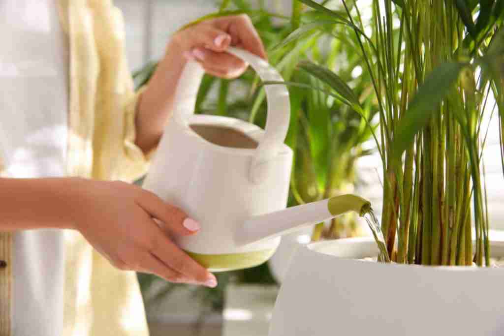 Woman-watering-house-plant