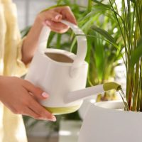 Woman-watering-house-plant
