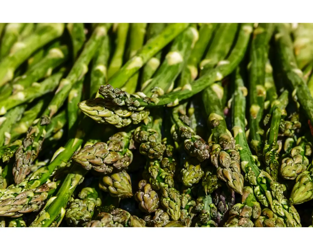 Growing Asparagus Indoors Tips and Techniques for a Successful Harvest